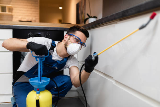 Best Residential Pest Control  in , CO