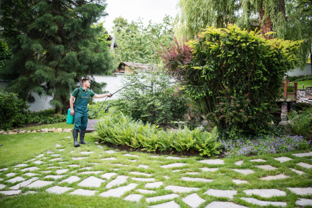 Best Wasp Removal Services  in , CO