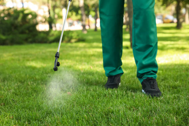 Best Local Pest Control Services  in , CO