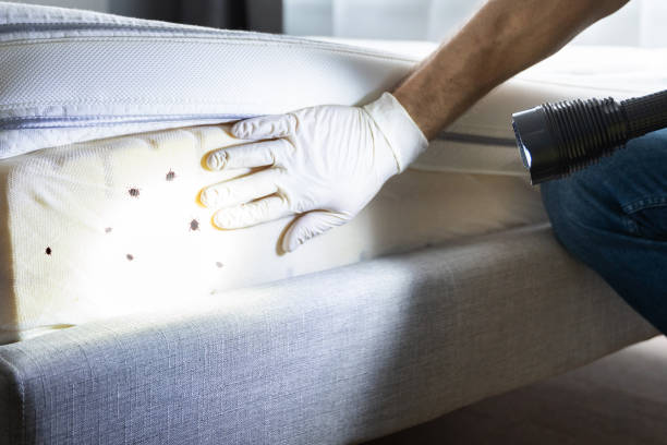 Best Pest Control for Businesses  in , CO