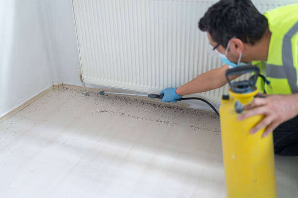 Best Pest Inspection Near Me  in , CO