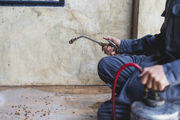 Best Pest Prevention Services  in , CO